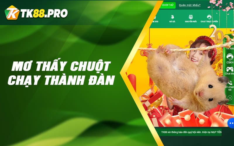 Mơ thấy chuột chạy thành đàn