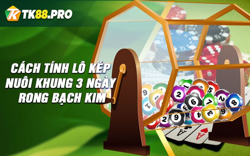 Cách tính lô kép nuôi khung 3 ngày rong bạch kim